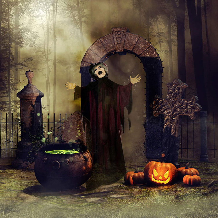 Indoor light sale up halloween decorations